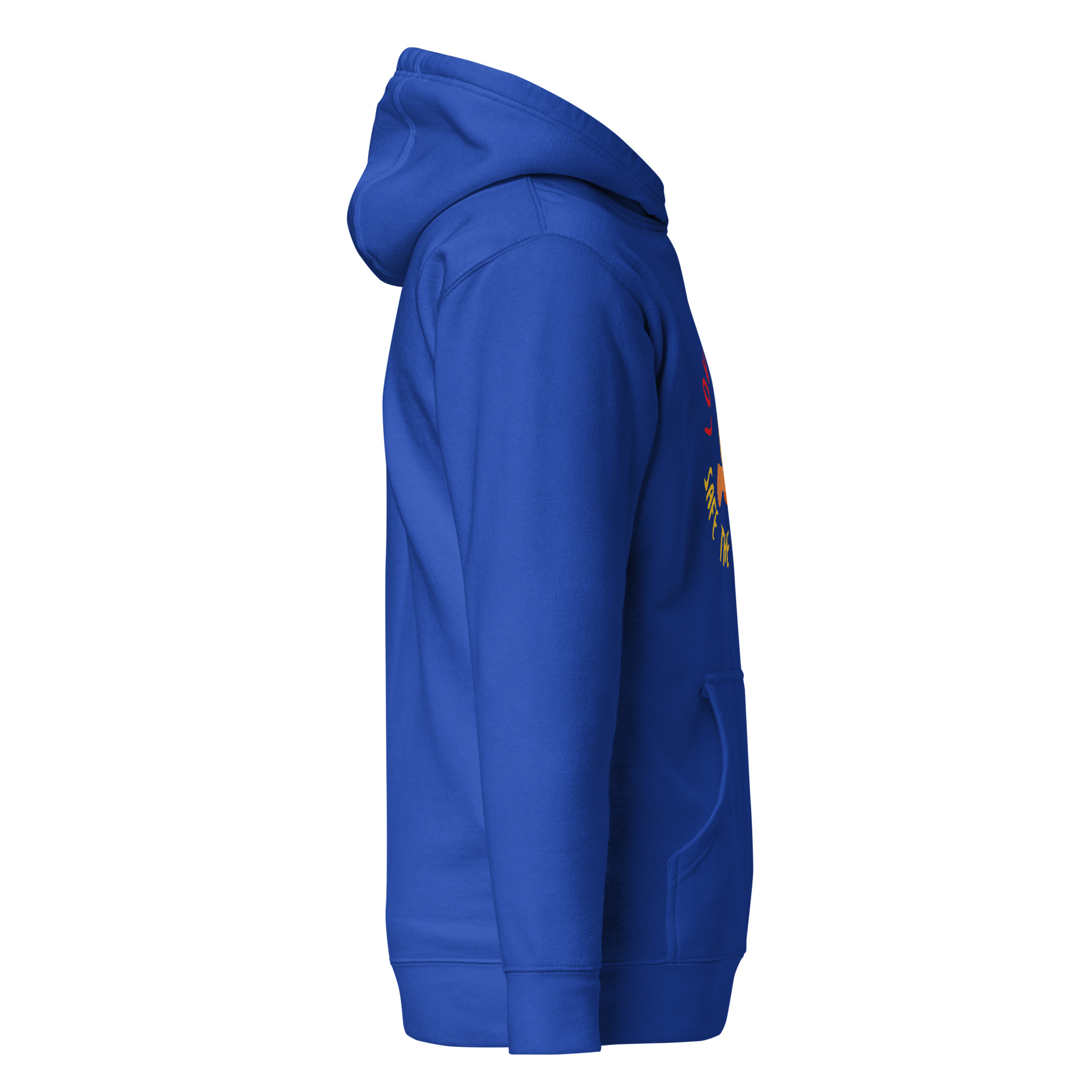 cotton-heritage-m2580-i-unisex-premium-pullover-hoodie-team-royal-right-68c92c19588e6.jpg