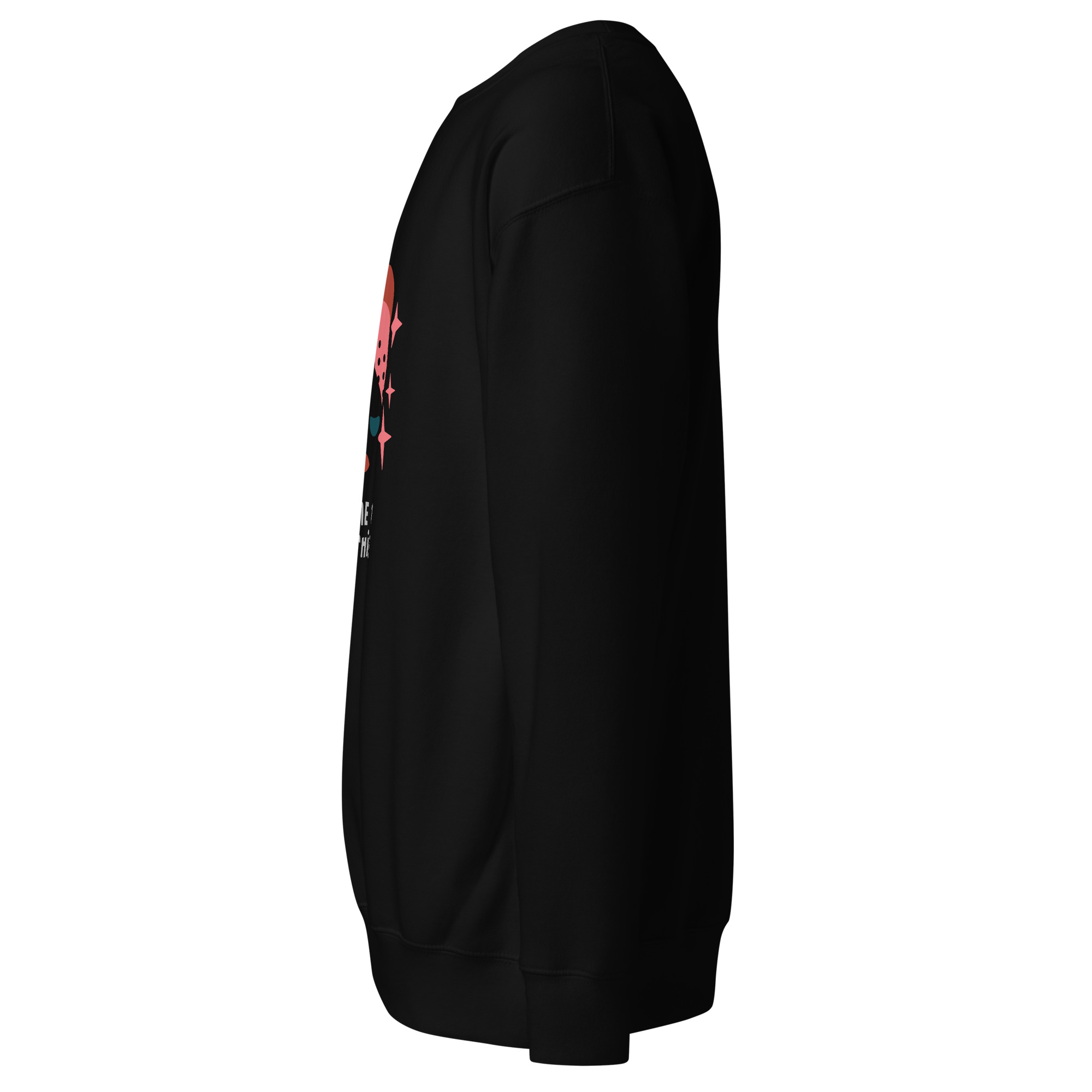 unisex-premium-sweatshirt-black-left-68da7aff08598.jpg