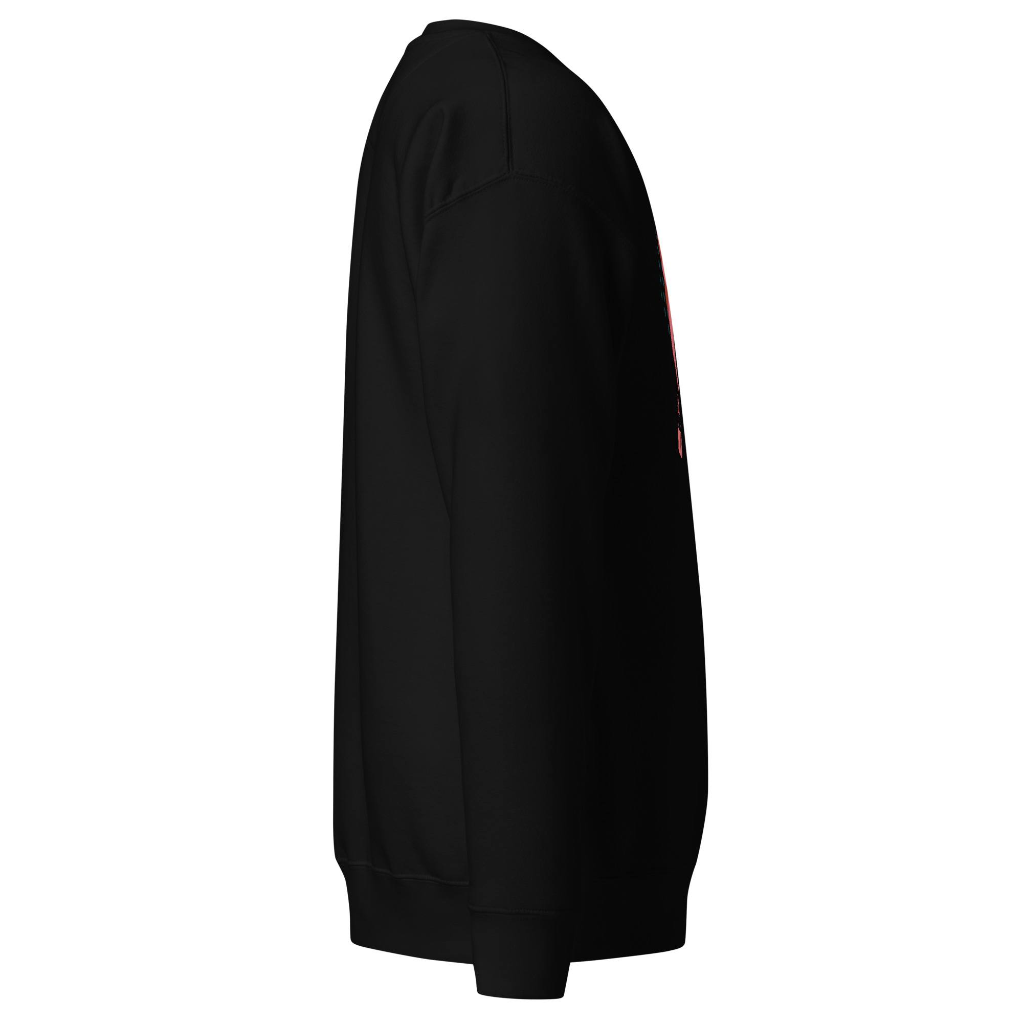 unisex-premium-sweatshirt-black-right-68da7aff09328.jpg