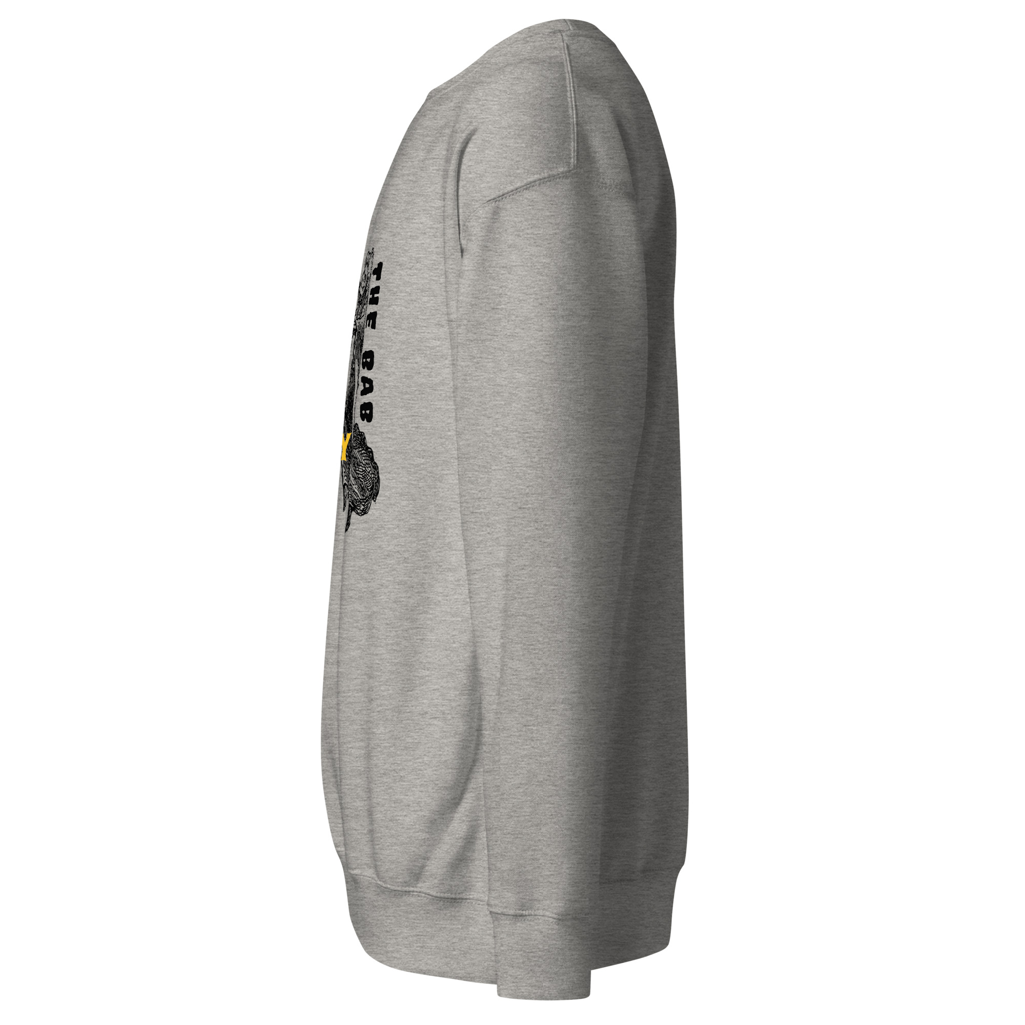 unisex-premium-sweatshirt-carbon-grey-left-68daa4a55482f.jpg