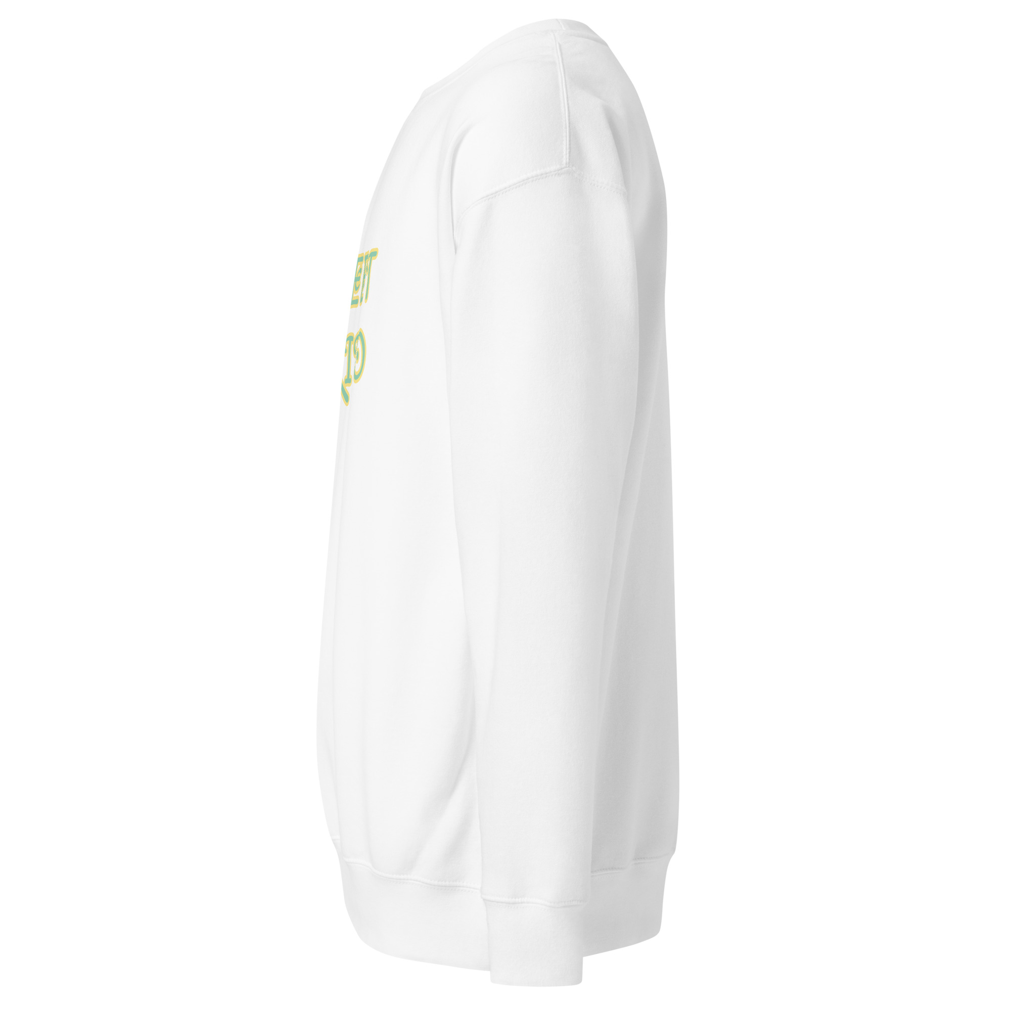 unisex-premium-sweatshirt-white-left-68dd5ad1f0c22.jpg