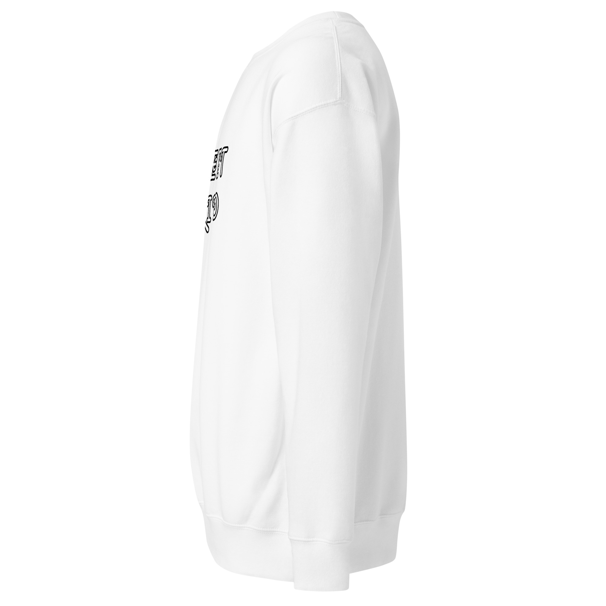 unisex-premium-sweatshirt-white-left-68de18f2c34be.jpg